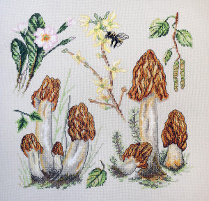 Набор для вышивания "Сморчки". Арт 04.012.09