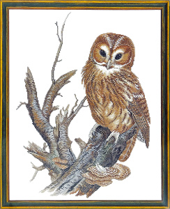 Набор для вышивания "Одинокая сова". Арт 12-677                  