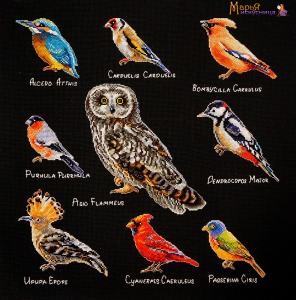 Набор для вышивания "Птицы". Арт 14.001.10