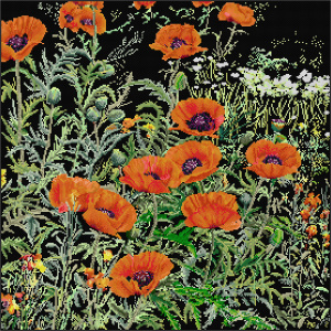 Набор для вышивания "Поле с маками", канва аида (черная) 18 ct. Арт 2062.05                 