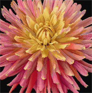 Набор для вышивания "Георгин", канва аида (черная) 18 ct. Арт 441.05                  