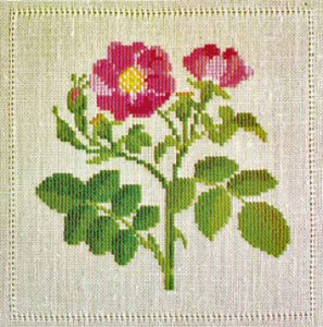 Набор для вышивания: "Роза". Арт 30-6723