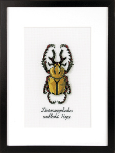 Набор для вышивания "Золотой жук". Арт PN-0165220