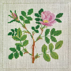 Набор для вышивания: "Роза". Арт 30-6722