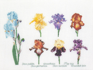 Набор для вышивания "Ирисы", канва аида 16 ct. Арт 3051A                   