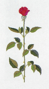 Набор для вышивания: "Роза". Арт 30-3861