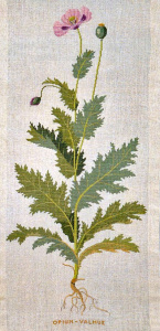 Набор для вышивания панно:"Мак". Арт 30-4428