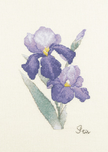 Набор для вышивания "Ирис". Арт 2032406