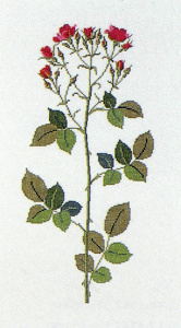 Набор для вышивания: "Роза". Арт 30-3840