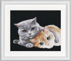Набор для вышивания "Друзья - котики", канва аида 16 ct (черного цвета). Арт DSB025A