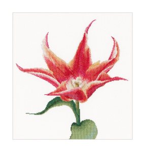 Набор для вышивания "Оранжевый тюльпан", канва лён 36 ct. Арт 524