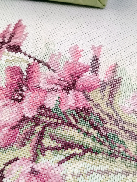 Набор для вышивания "Розовые смолевки". Арт 06.002.82