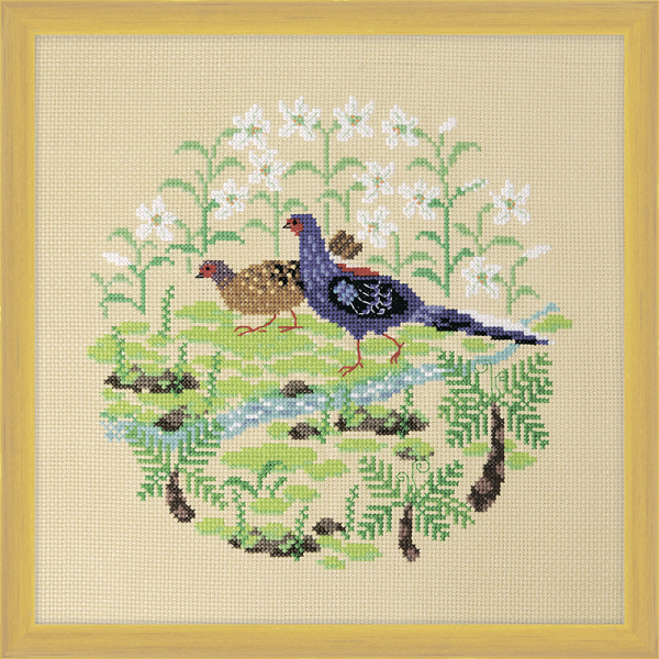Набор для вышивания "Тайваньский фазан". Арт 2030409