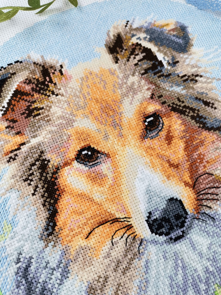 Набор для вышивания "Шелти". Арт 03.014.28