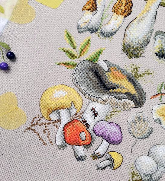 Набор для вышивания "Ассорти грибное". Арт 04.012.08