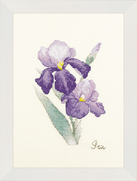 Набор для вышивания "Ирис". Арт 2032406
